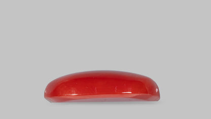 Japanese Red Coral(Moonga) 5.47 Carats