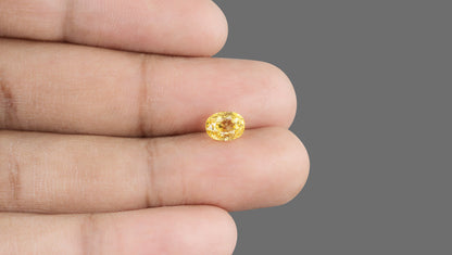 Natural Yellow Sapphire (Pukhraj) 2.36 Carats