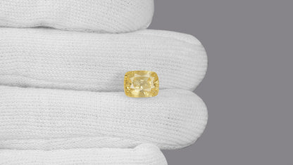 Natural Yellow Sapphire (Pukhraj) 8.81 Carats