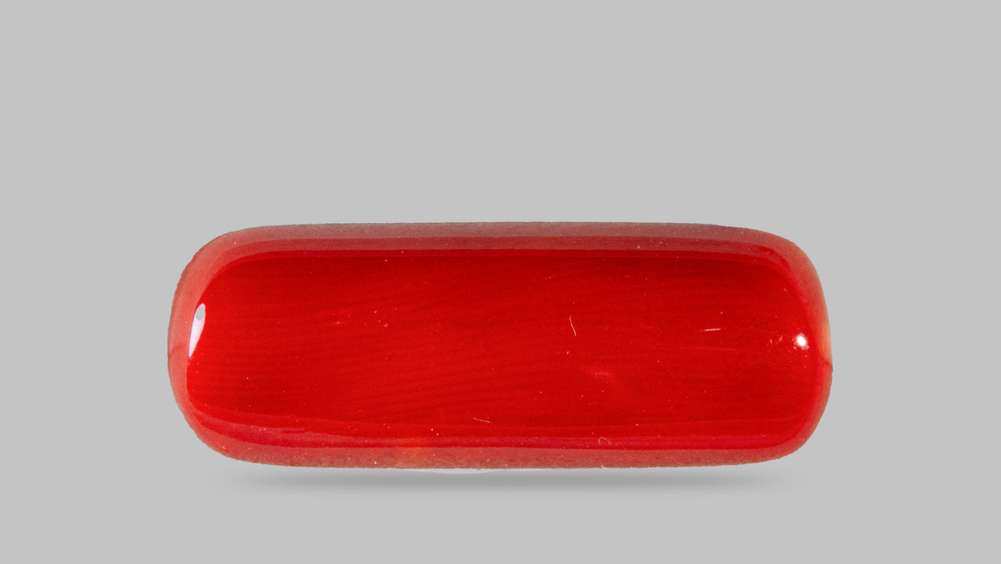 Natural Italian Red Coral (Moonga) 8.46 Carats