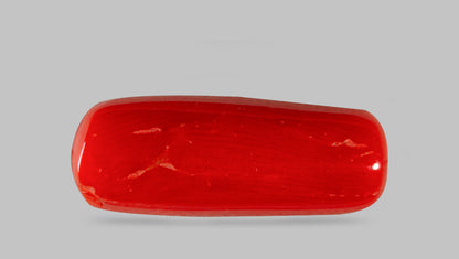 Natural Italian Red Coral (Moonga) 7.71 Carats