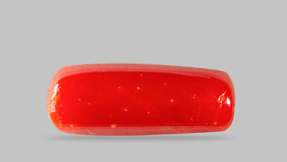 Natural Italian Red Coral (Moonga) 7.88 Carats