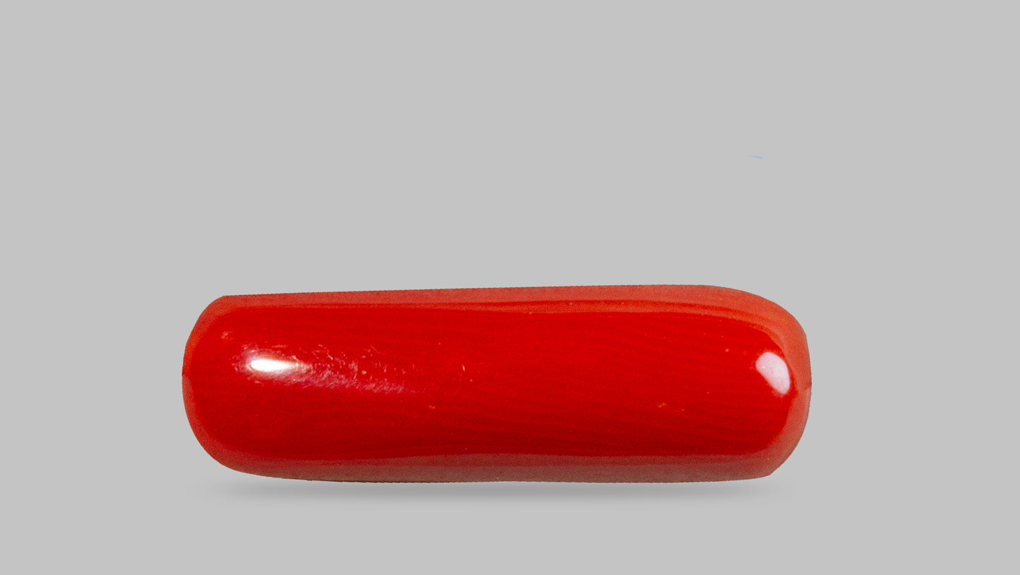 Natural Italian Red Coral (Moonga) 7.19 Carats