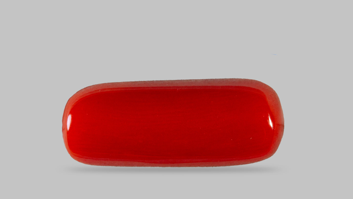 Natural Italian Red Coral (Moonga) 7.06 Carats