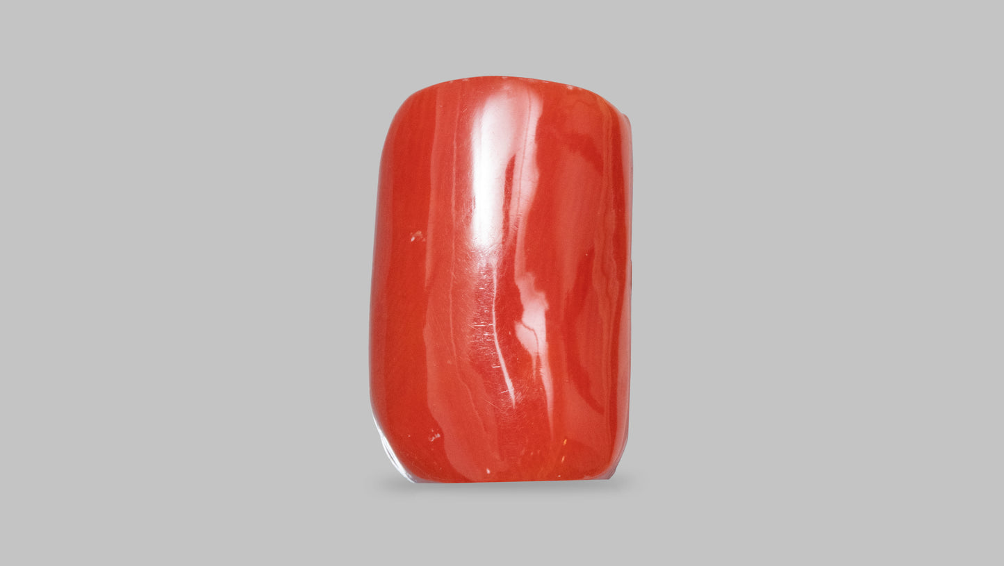 Japanese Ganesh Carving Red Coral(Moonga) 28.31 Carats