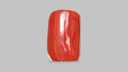 Japanese Ganesh Carving Red Coral(Moonga) 28.31 Carats