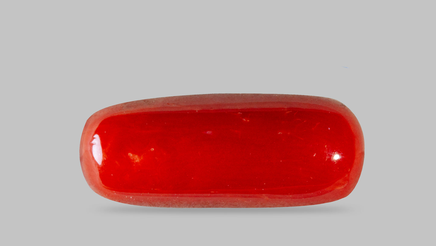 Natural Italian Red Coral (Moonga) 8.18 Carats