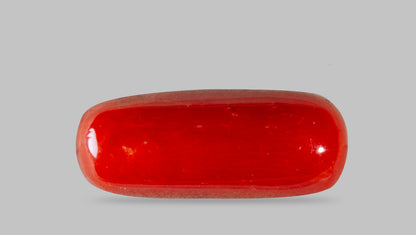Natural Italian Red Coral (Moonga) 8.18 Carats