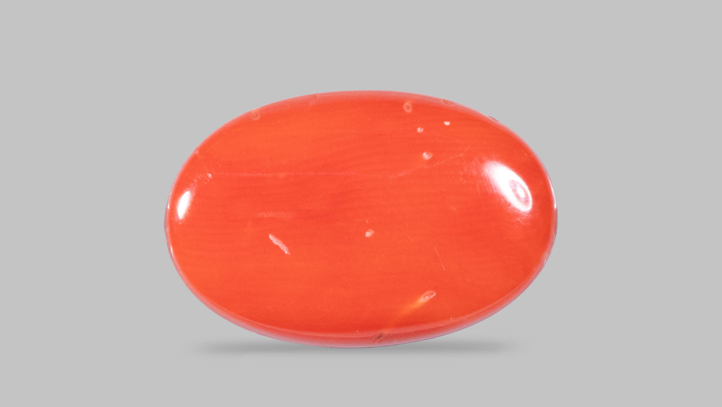 Natural Italian Red Coral (Moonga) 12.24 Carats