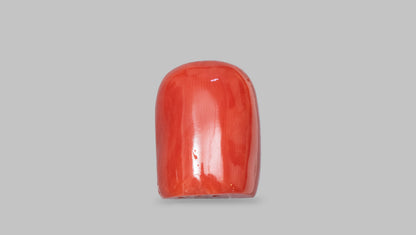 Japanese Ganesh Carving Red Coral(Moonga) 31.33 Carats
