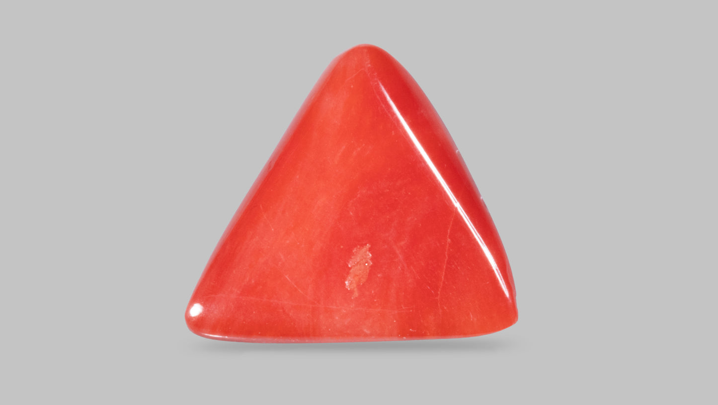 Natural Red Coral (Moonga) 8.65  Carats