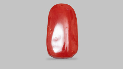Japanese Ganesh Carving Red Coral(Moonga) 22.51 Carats
