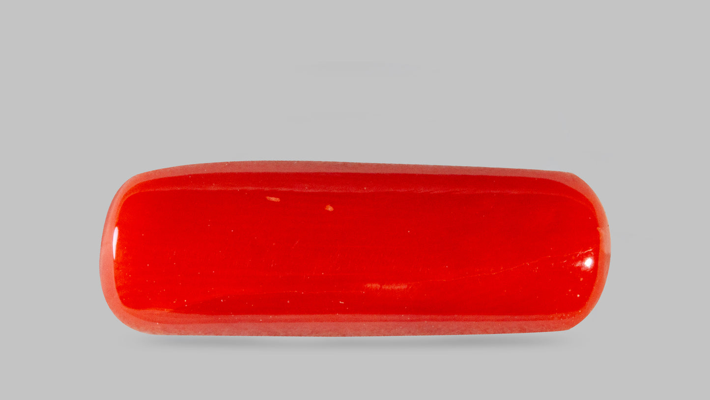Natural Italian Red Coral (Moonga) 7.69 Carats