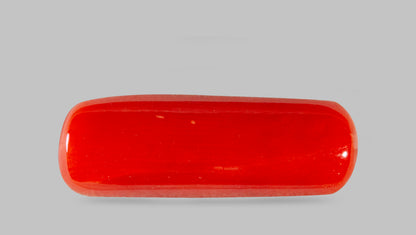 Natural Italian Red Coral (Moonga) 7.69 Carats