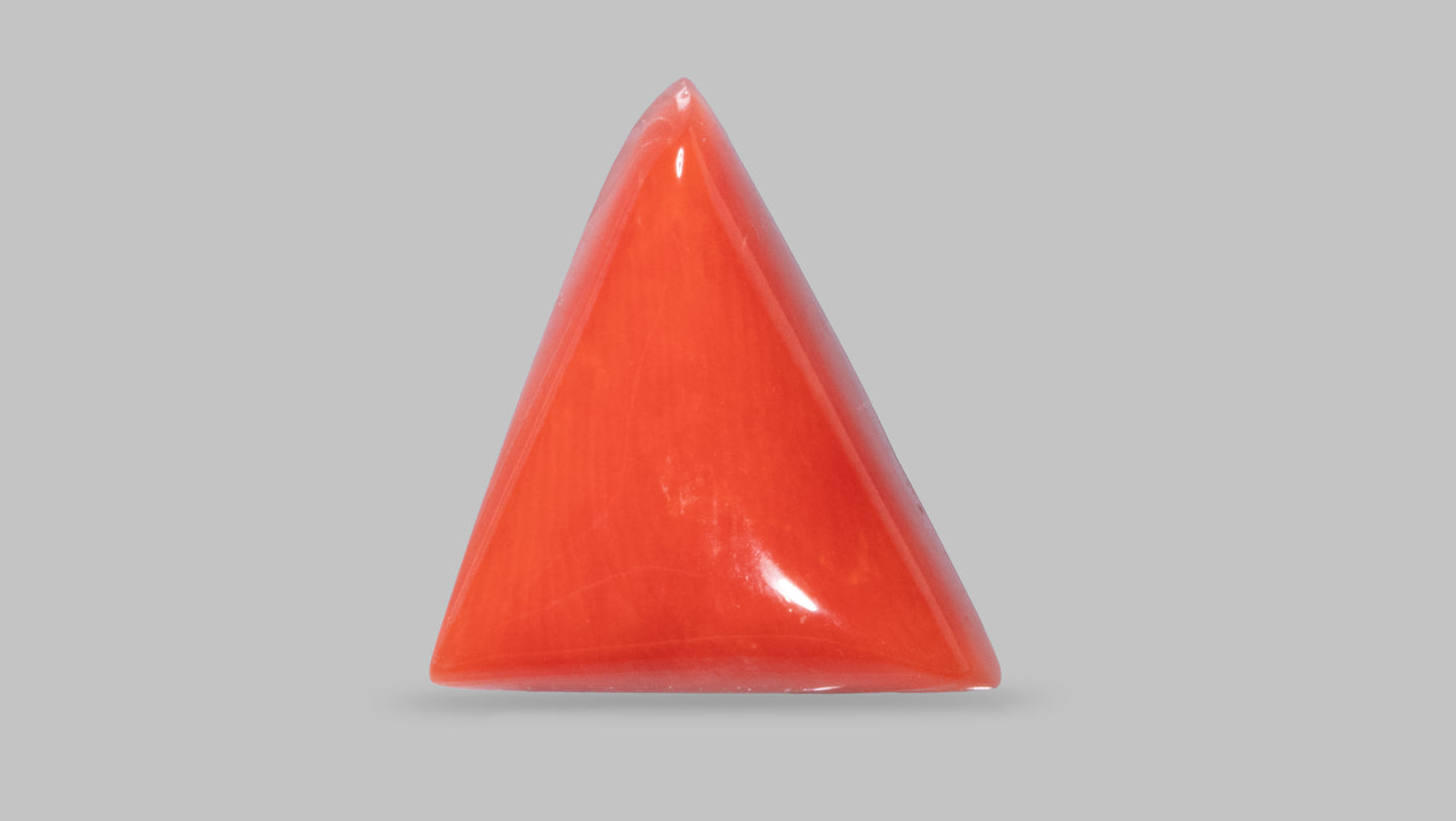 Natural Italian Red Coral (Moonga) 9.06 Carats