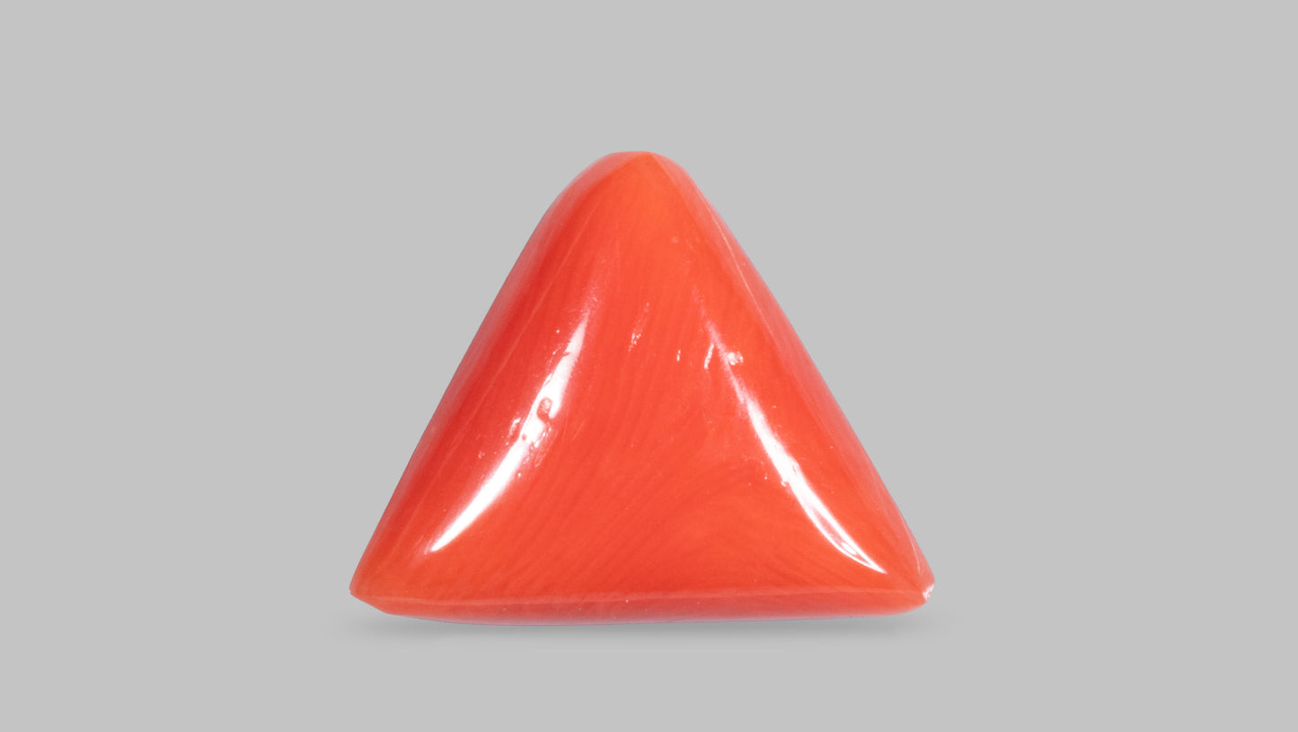 Natural Italian Red Coral (Moonga) 9.57 Carats