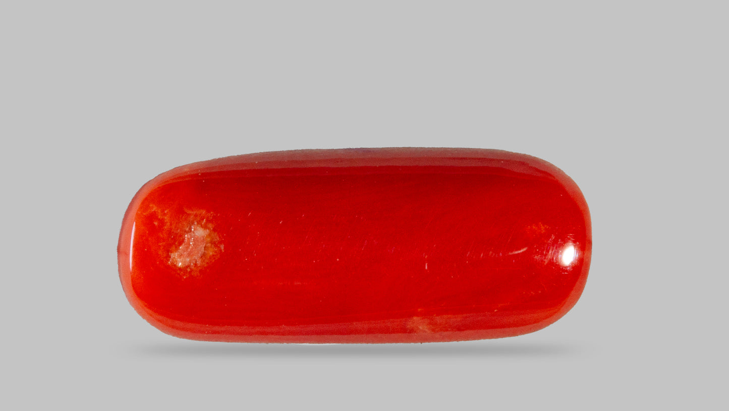 Natural Italian Red Coral (Moonga) 7.73 Carats