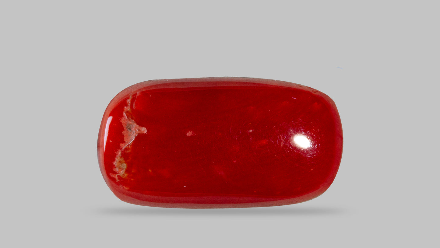 Natural Italian Red Coral (Moonga) 8.24 Carats