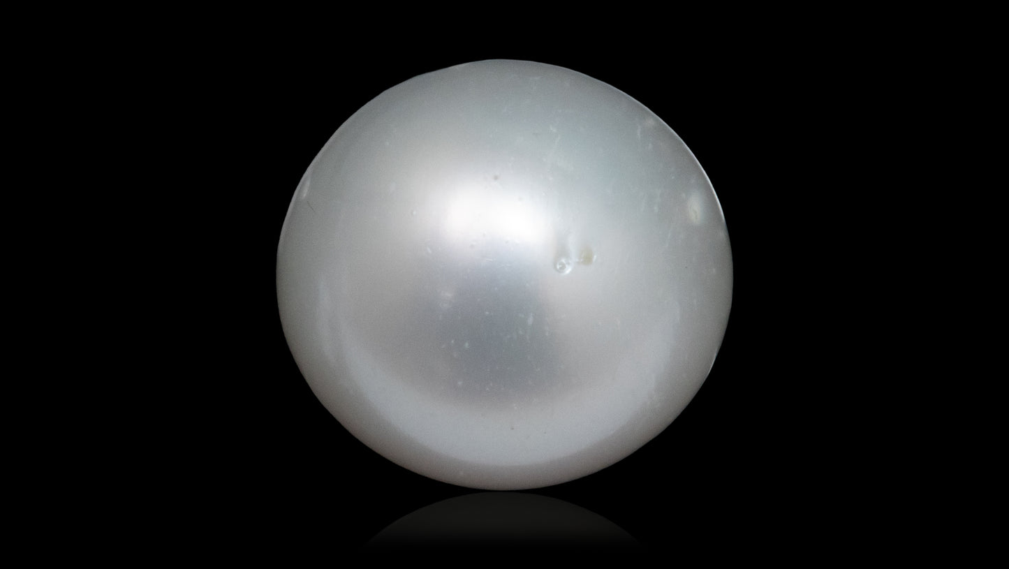 South Sea Pearl 7.73 Carats