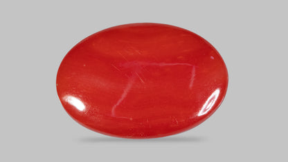 JAPANESE RED CORAL(MOONGA) 5.45 CARATS