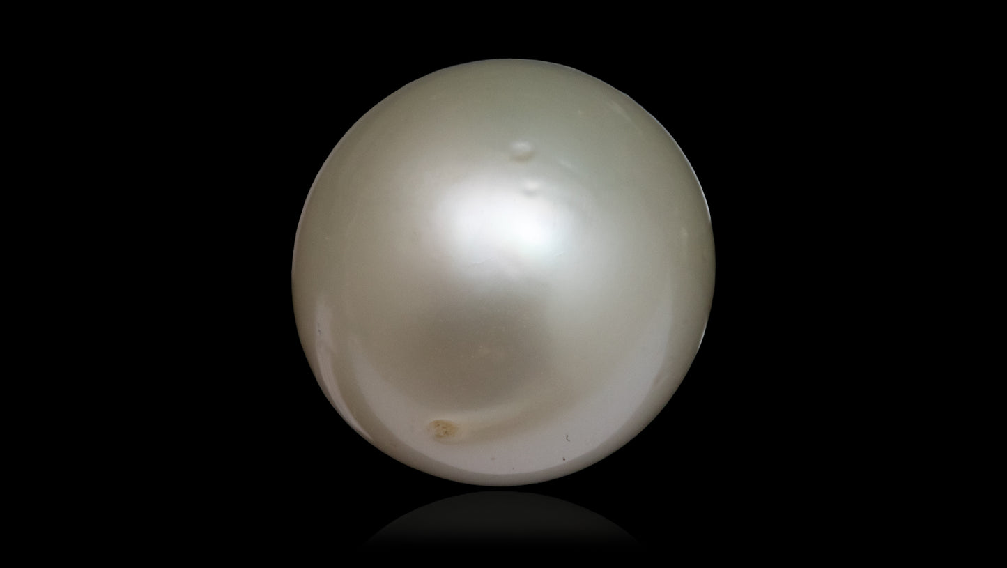 South Sea Pearl 16.37 Carats