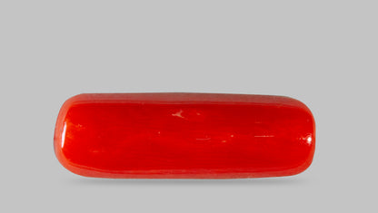 Natural Italian Red Coral (Moonga) 7.30 Carats