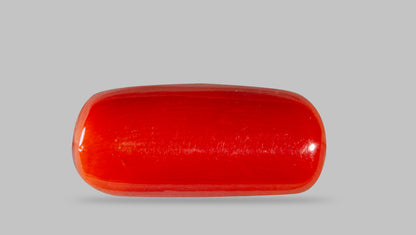 Natural Italian Red Coral (Moonga) 8.07 Carats