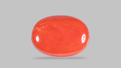 Natural Red Coral (Moonga) 8.27 Carats