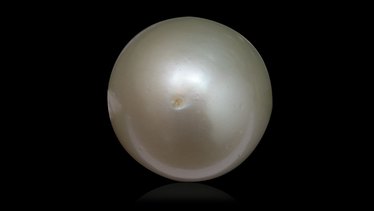 SOUTH SEA PEARL 14.71 CARATS