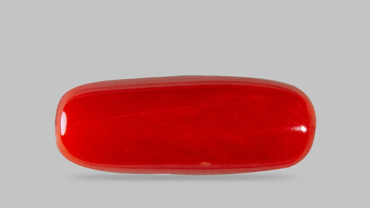 Natural Italian Red Coral (Moonga) 7.87 Carats