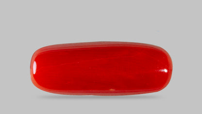 Natural Italian Red Coral (Moonga) 7.87 Carats