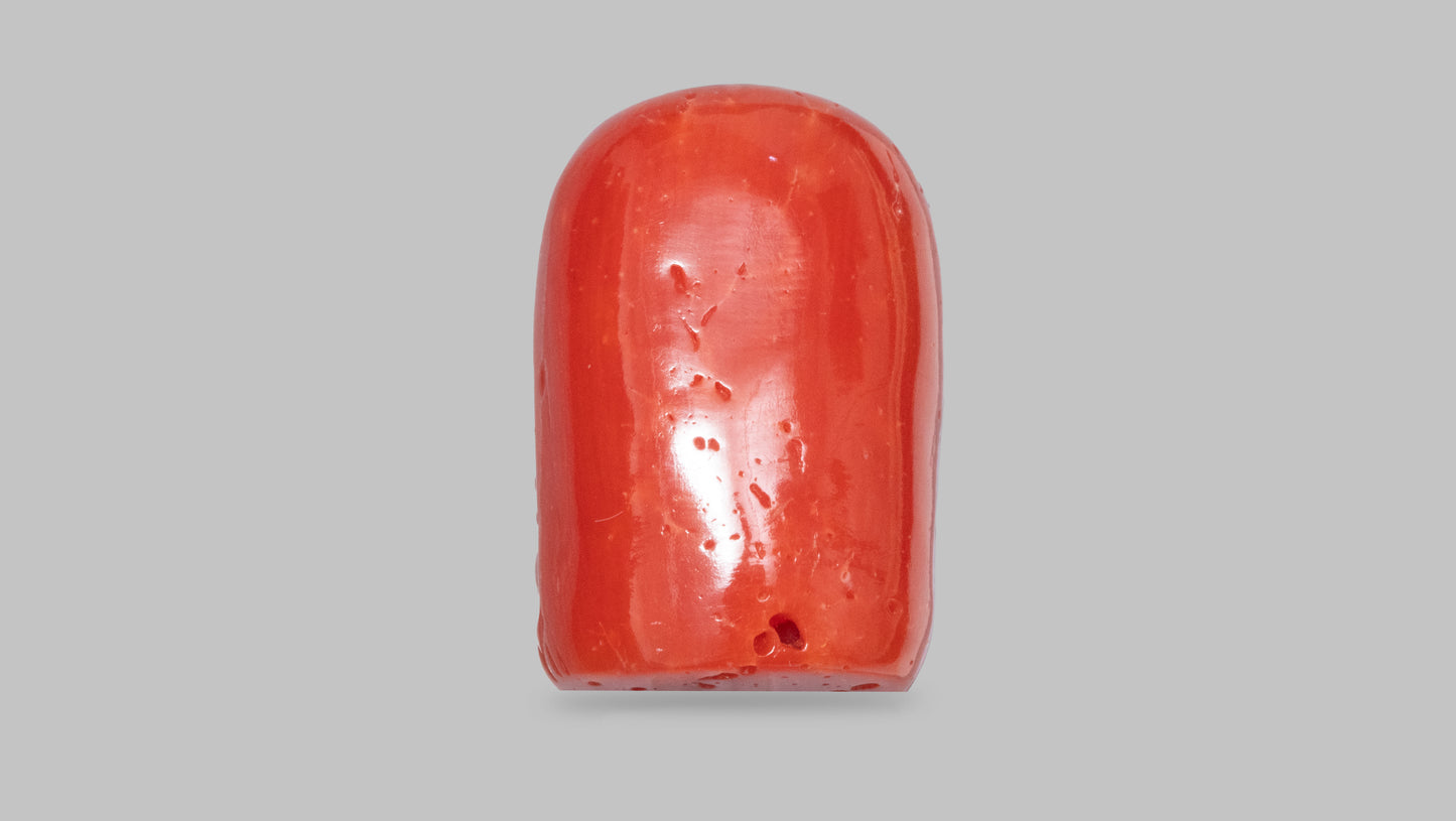 Japanese Ganesh Carving Red Coral(Moonga) 25.32 Carats