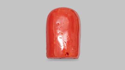 Japanese Ganesh Carving Red Coral(Moonga) 25.32 Carats