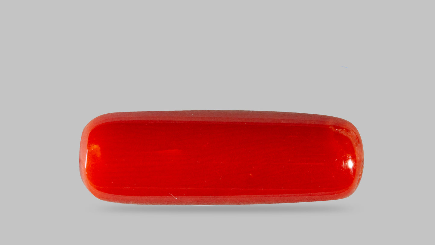 Natural Italian Red Coral (Moonga) 7.29 Carats