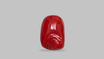Japanese Ganesh Carving Red Coral(Moonga) 16.98 Carats