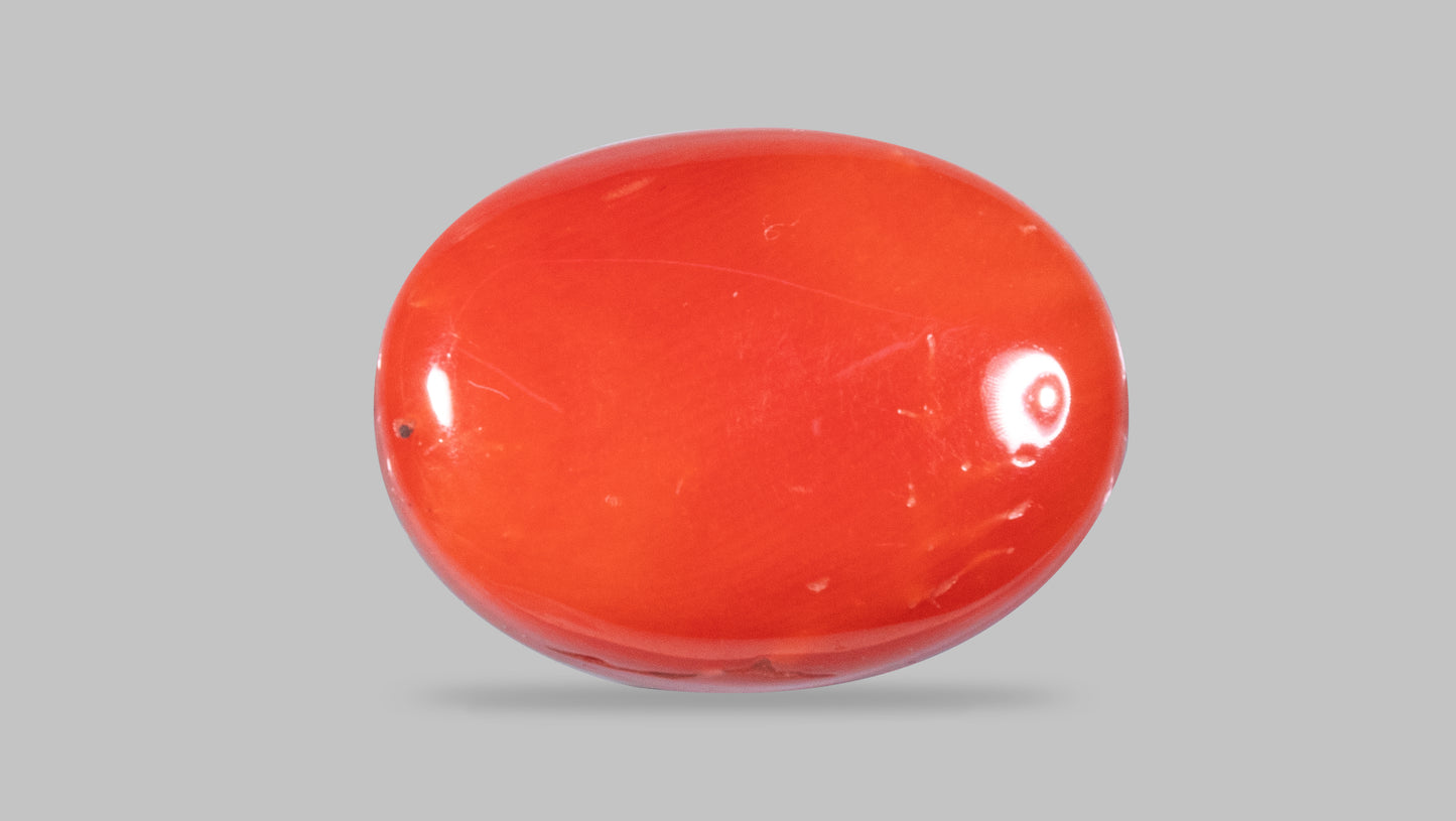 Natural Italian Red Coral (Moonga) 12.22 Carats