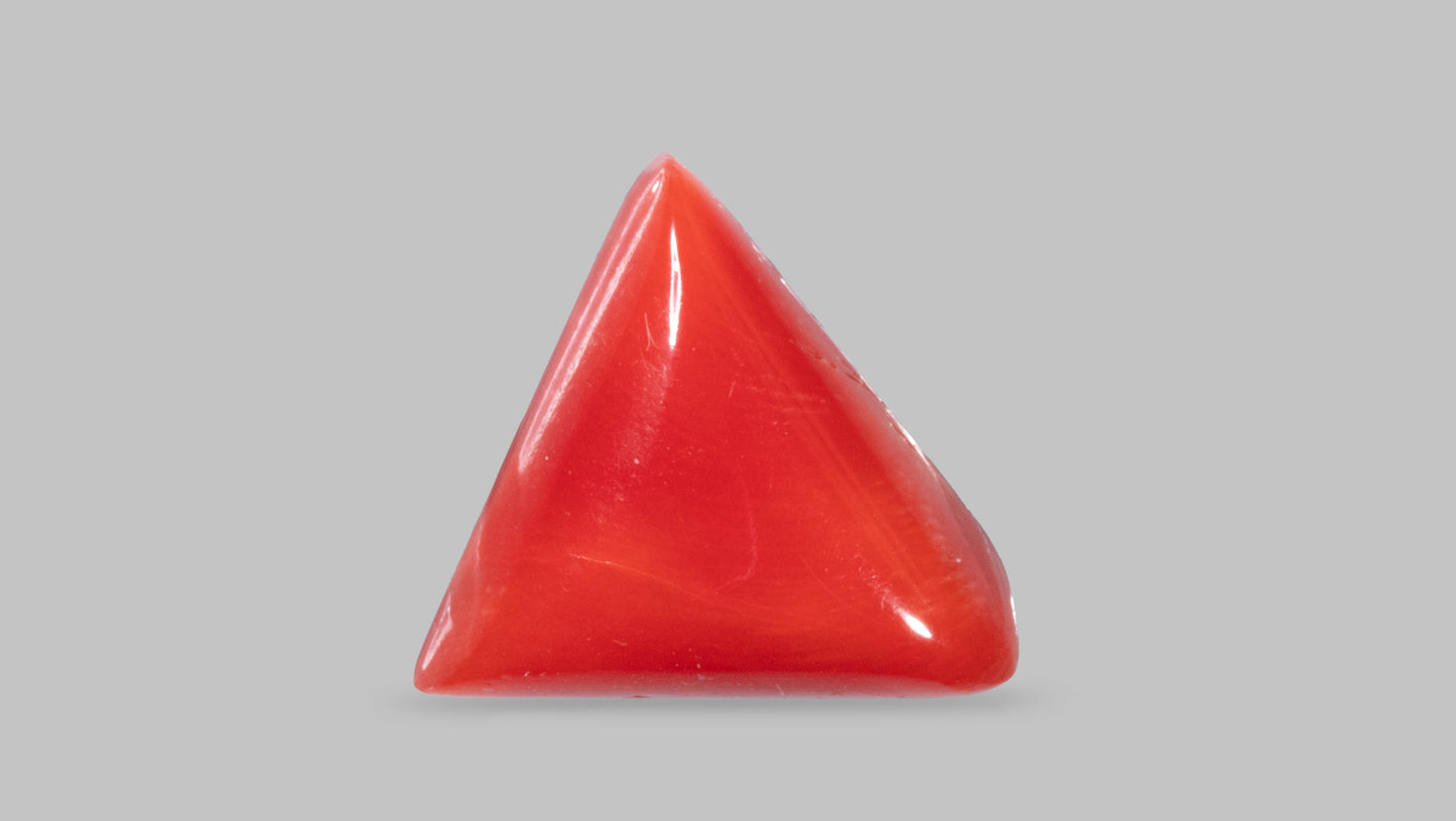 Natural Red Coral (Moonga) 7.48 Carats
