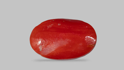 Japanese Red Coral(Moonga) 5.58 Carats
