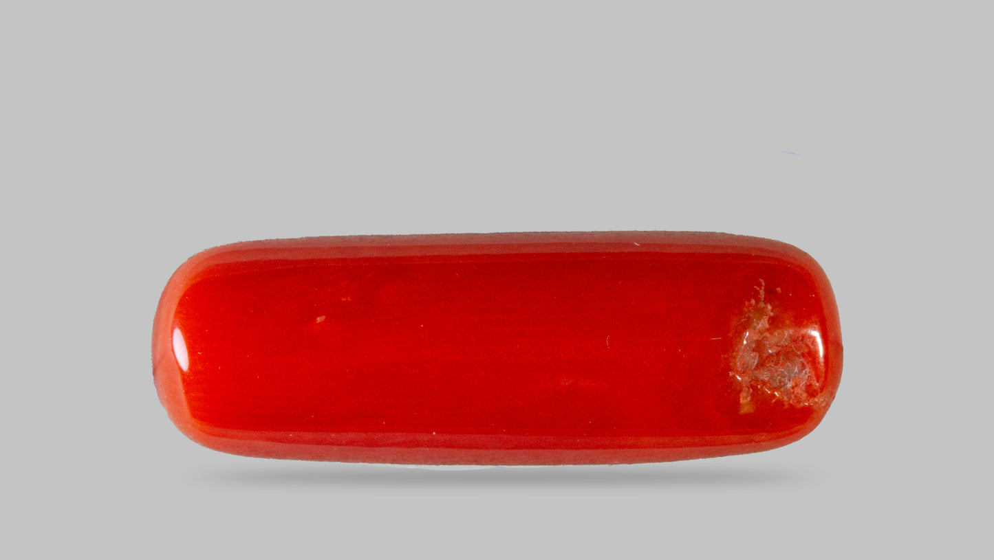 Natural Red Coral (Moonga) 7.50 Carats