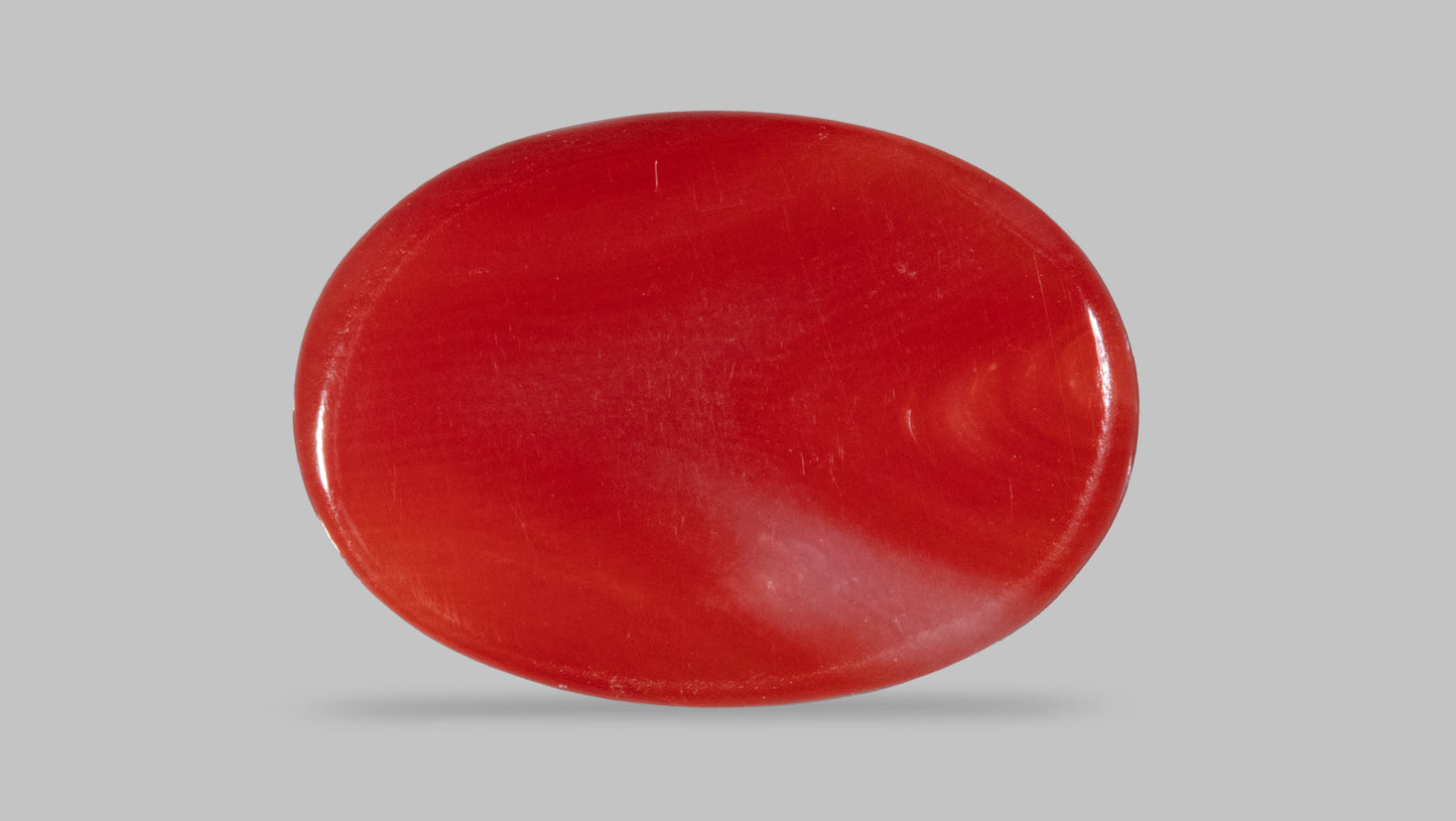 Japanese Red Coral (Moonga) 5.57 Carats