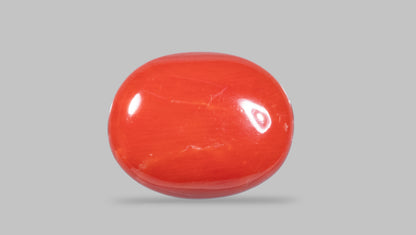 Natural Italian Red Coral (Moonga) 8.78 Carats