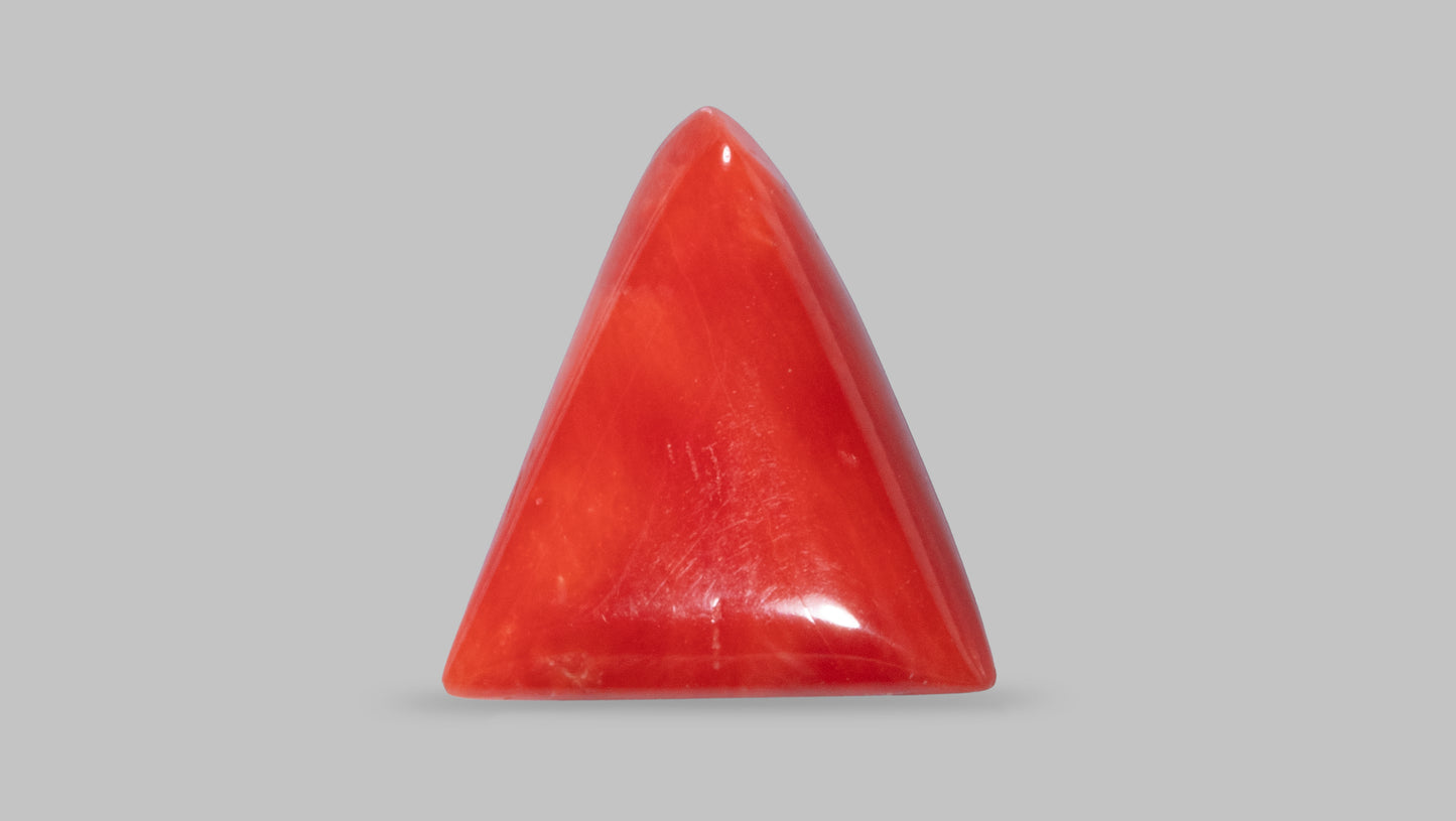 Natural Italian Red Coral (Moonga) 6.44 Carats