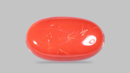 Natural Italian Red Coral (Moonga) 11.50 Carats