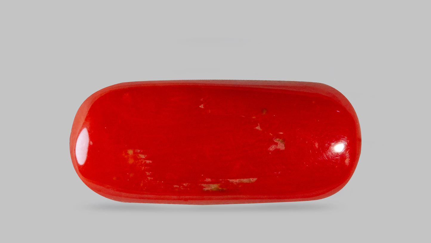 Natural Italian Red Coral (Moonga) 8.28 Carats
