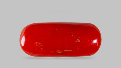 Natural Italian Red Coral (Moonga) 8.28 Carats
