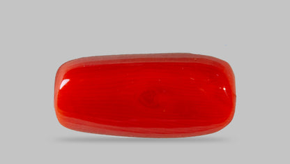 Natural Italian Red Coral (Moonga) 8.65 Carats