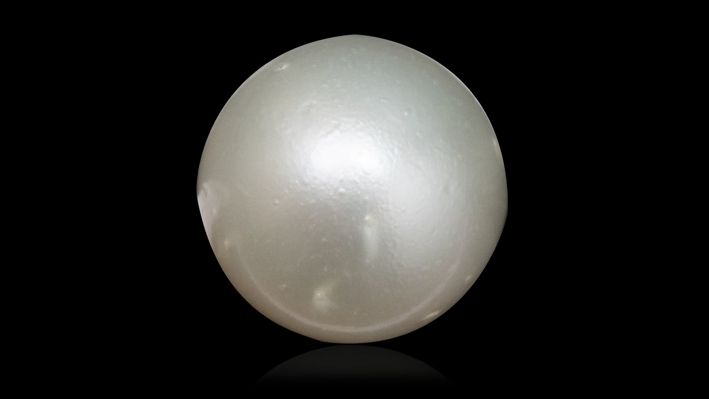 South Sea Pearl 7.59 Carats