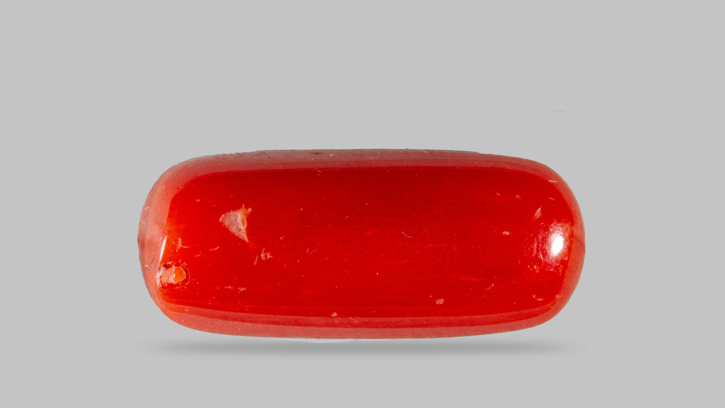 Natural Italian Red Coral (Moonga) 8.39 Carats