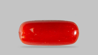 Natural Italian Red Coral (Moonga) 8.39 Carats