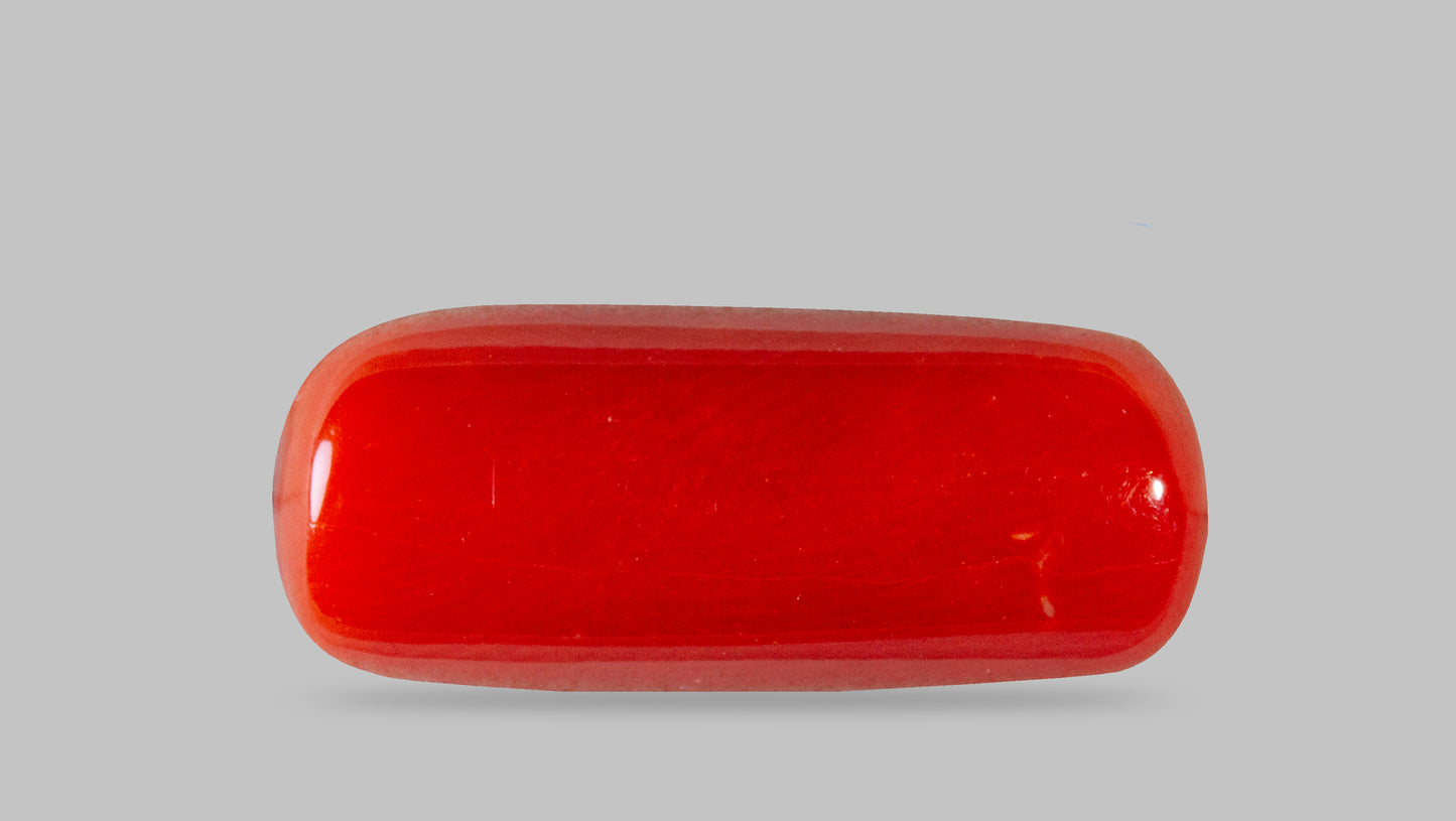 Natural Italian Red Coral (Moonga) 7.61 Carats